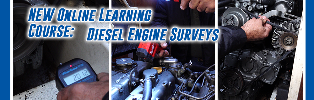 Diesel Engine Surveys